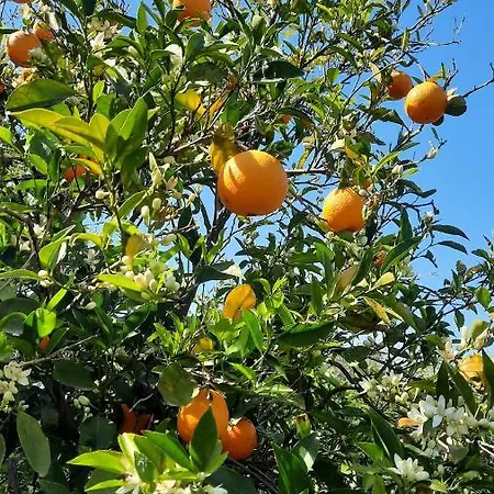 Hétvégi ház Landolina Donnalucata
